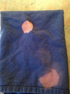 photo+%25286%2529[1]